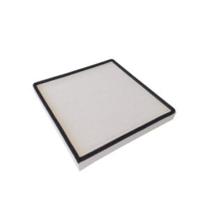 Filtras AH300 POLLEN, modelim  Boneco H300