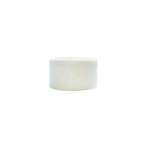 Filtras Boneco Air-O-Swiss A7018, modeliui AOS E2441