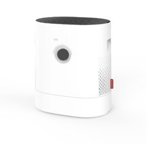 Oro valytuvas - drėkintuvas Boneco H320